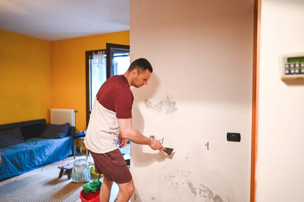 Best Mold Testing  in Elkhorn, CA